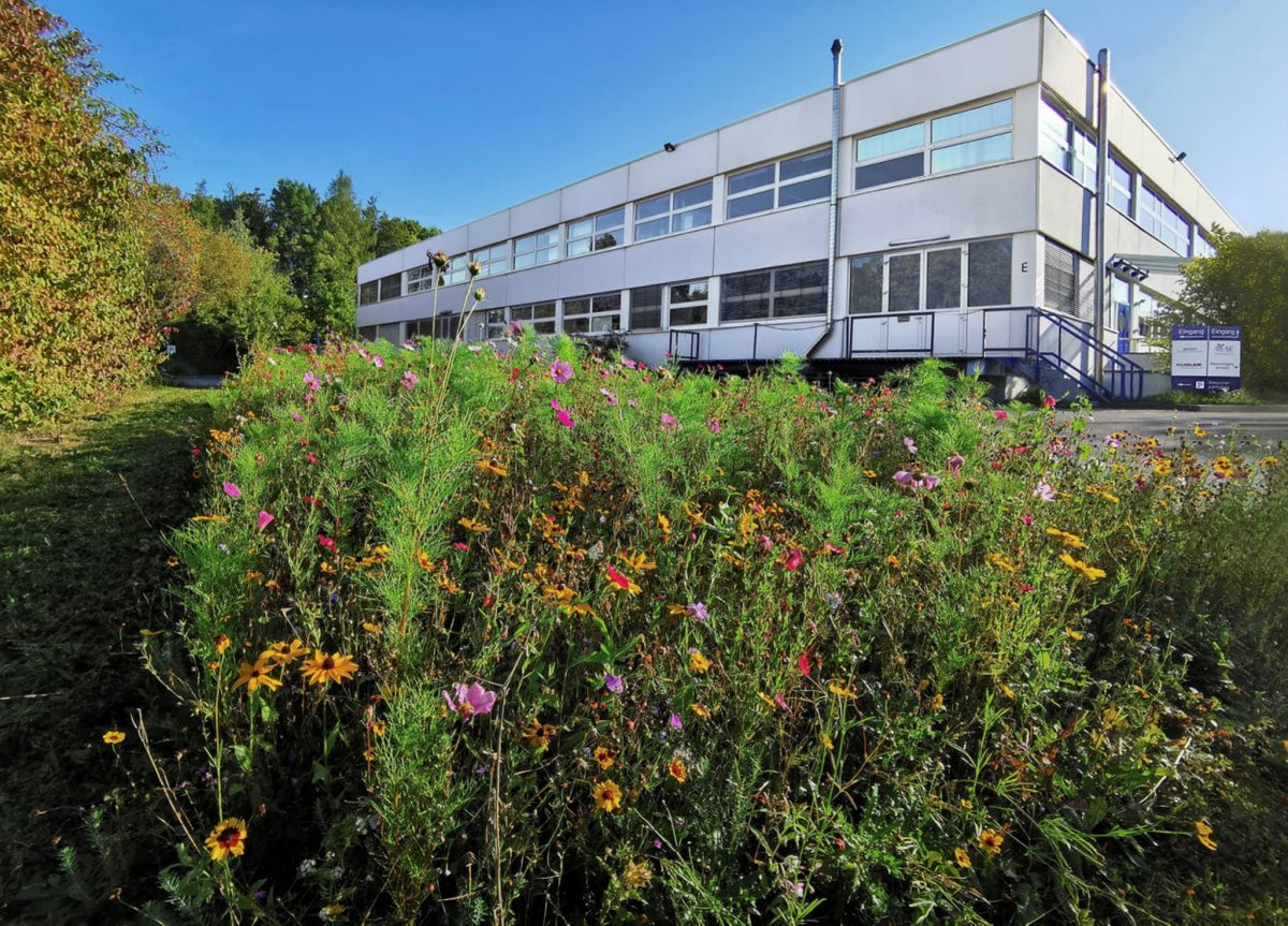 Company building of S.I.C – Entwicklungs- und Vertriebs GmbH in Nagold